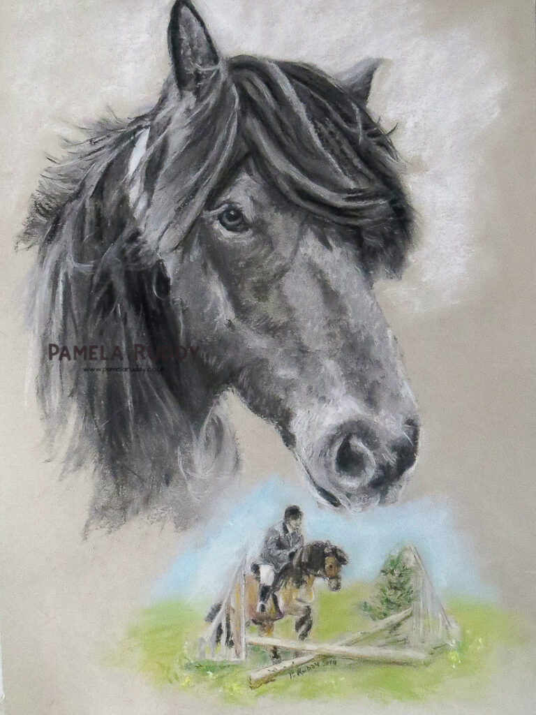 Highland Pony Portrait in Pastels